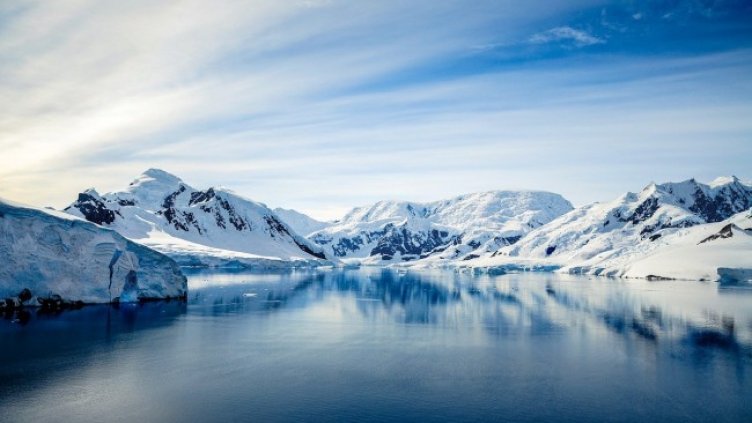 Снимка: AlKalenski от Pixabay