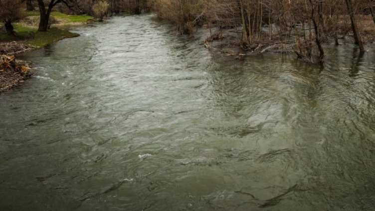 Снимка: Столична община