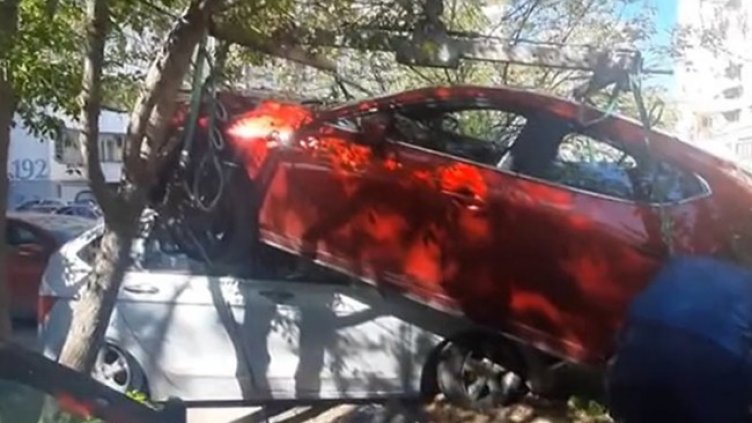 Снимка: Facebook