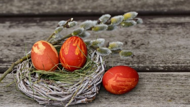 Снимка: congerdesign от Pixabay