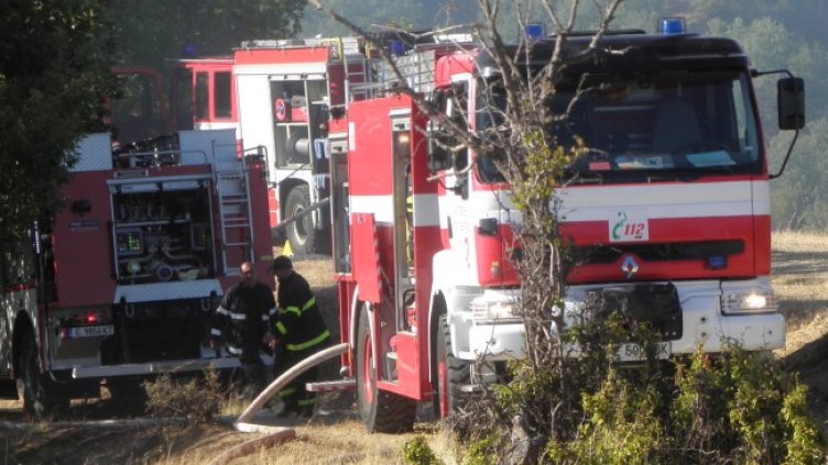 Снимка: архив, БГНЕС