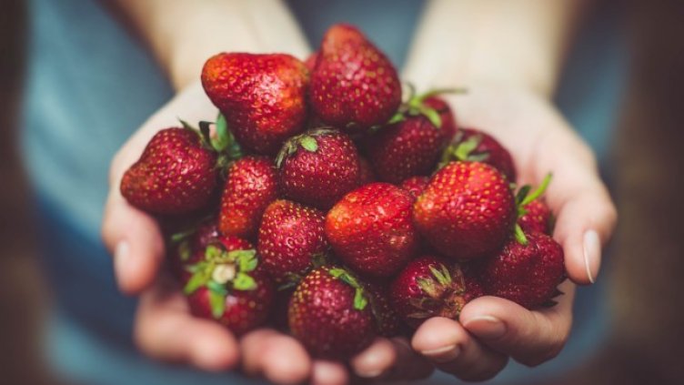 Снимка:  Pexels от Pixabay