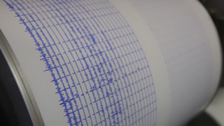 Снимка: архив, БГНЕС