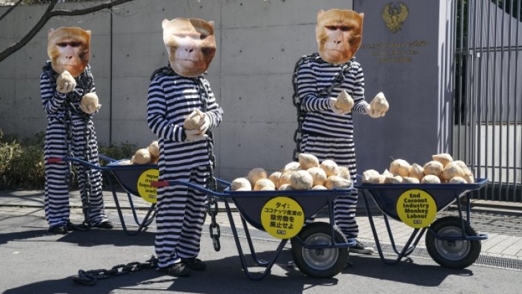 Снимка БГНЕС