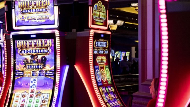 Снимка: архив, БГНЕС