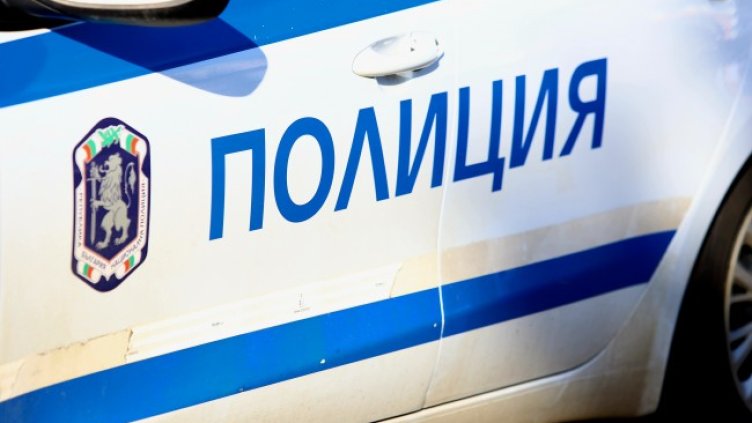 Снимка: архив, БГНЕС