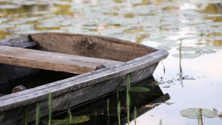 Снимка: Goran Horvat от Pixabay