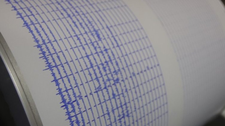 Снимка: архив, БГНЕС