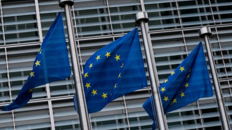 Снимка: архив, БГНЕС