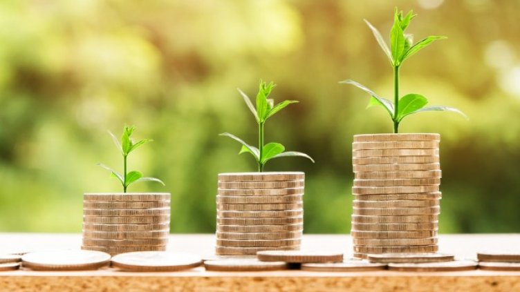 Снимка: Nattanan Kanchanaprat от Pixabay