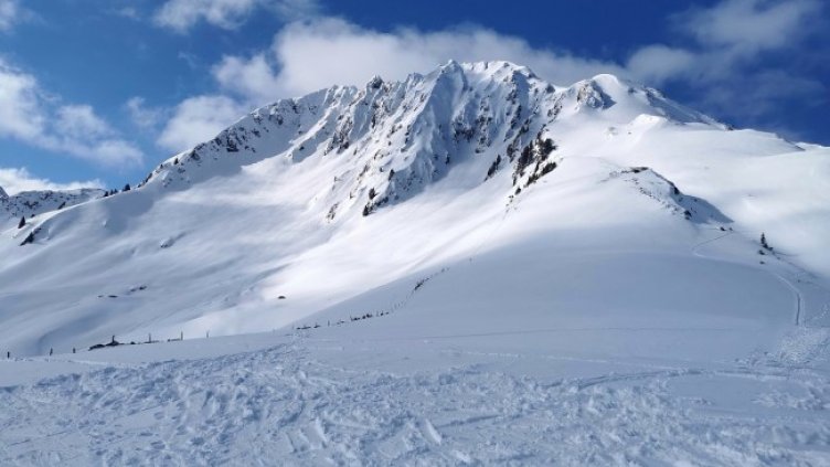 Снимка: Alexandra_Koch от Pixabay