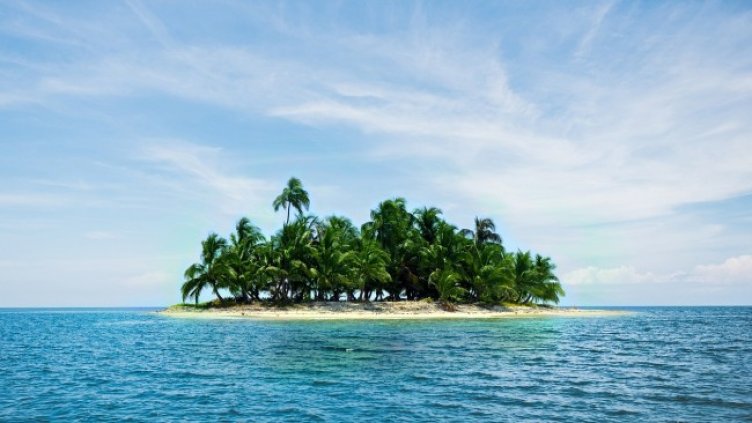 Снимка: Elias от Pixabay