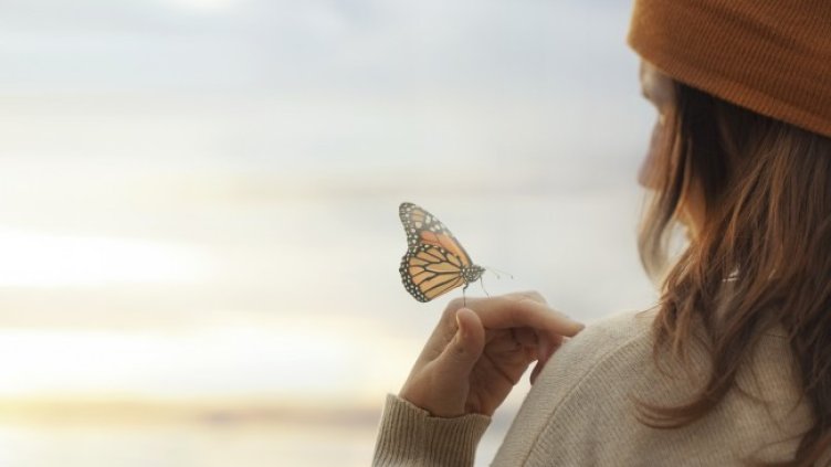 Снимка: Istock