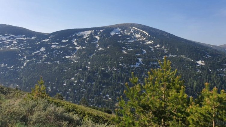 Снимка: архив, БГНЕС