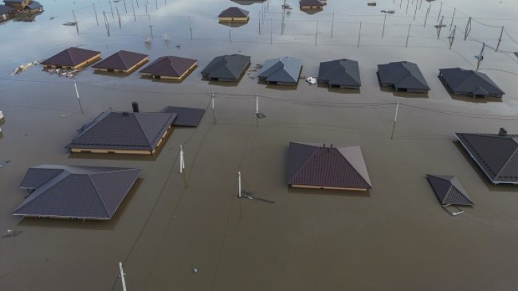 Снимка: архив, БГНЕС