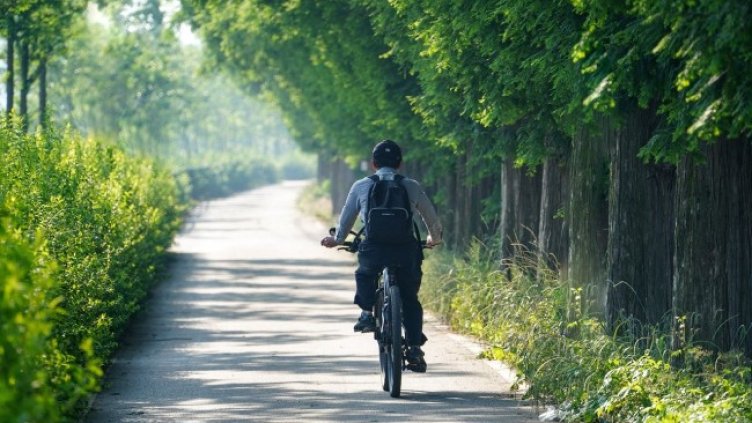 Снимка: dae jeung kim от Pixabay