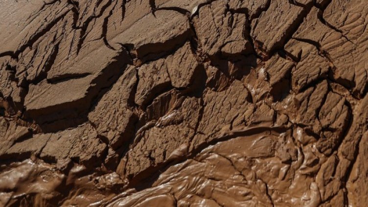 Снимка: архив, БГНЕС