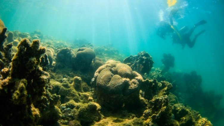 Снимка: архив, БГНЕС