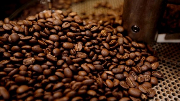 Снимка: архив, БГНЕС