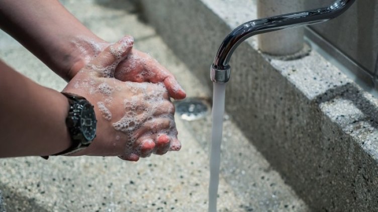 Снимка: Couleur от Pixabay