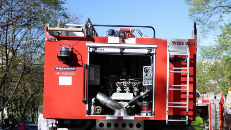 Снимка: БГНЕС, архив