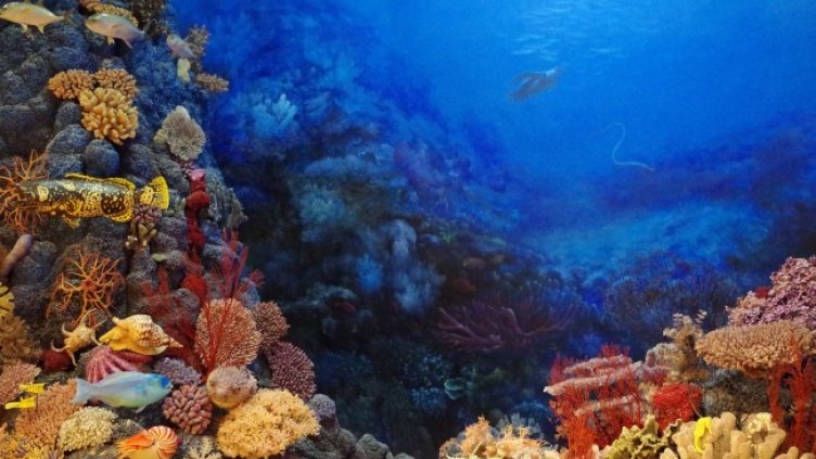 Снимка: wanzi989813 от Pixabay