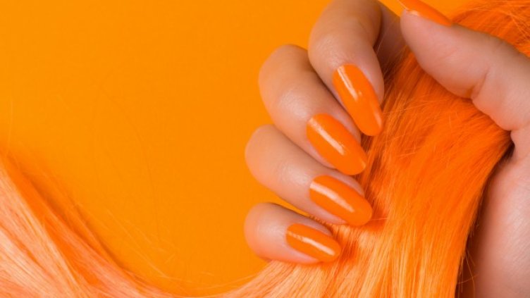 Снимка: iStock/baiajaku