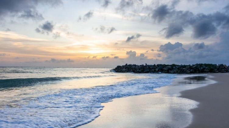 Снимка: Sergio Serjão от Pixabay