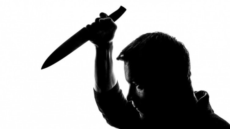 Снимка: PublicDomainPictures от Pixabay