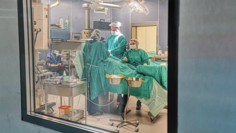 Снимка БГНЕС