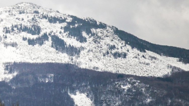 Снимка: архив, БГНЕС