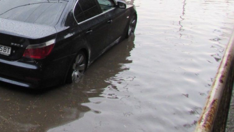 Снимка: БГНЕС