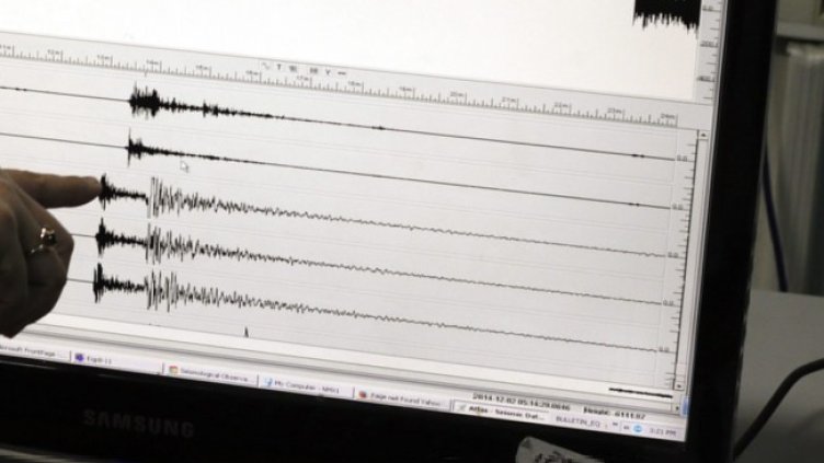 Снимка: архив, БГНЕС