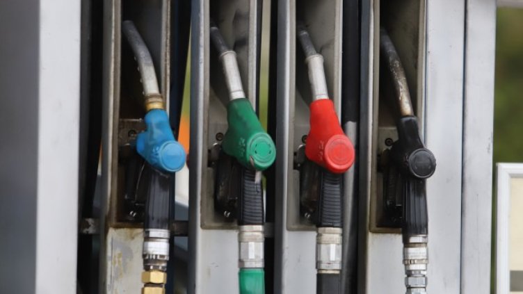 Снимка: БГНЕС, архив