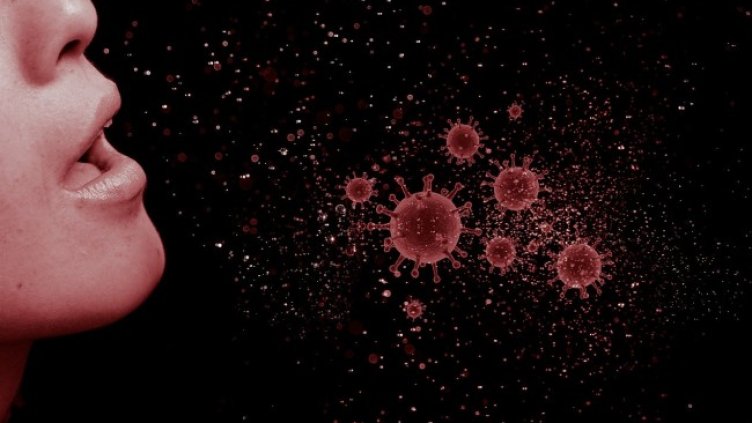 Снимка: Mohamed Hassan от Pixabay