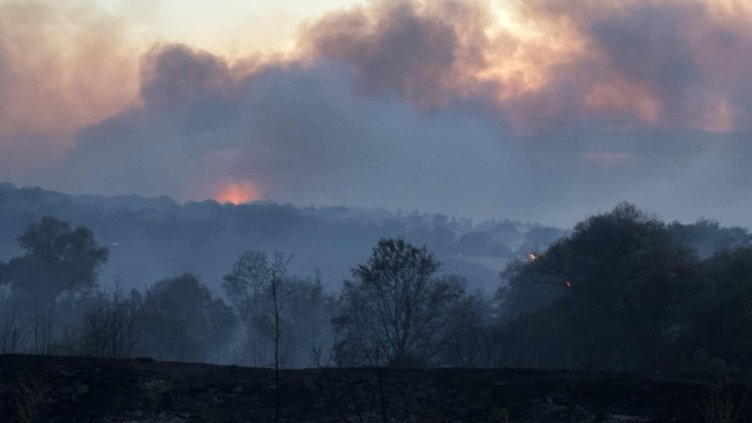 Снимка БГНЕС