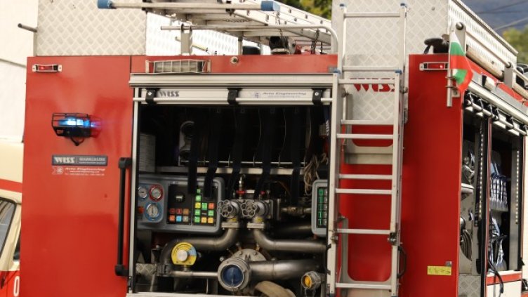 Снимка: архив, БГНЕС