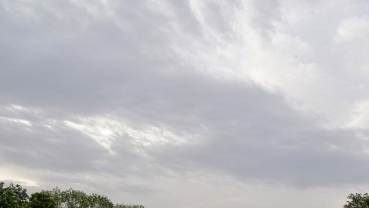 Снимка БГНЕС, архив