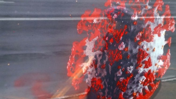 Снимка: архив, БГНЕС