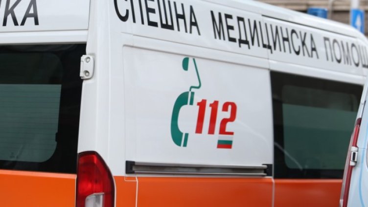 Снимка: архив, БГНЕС