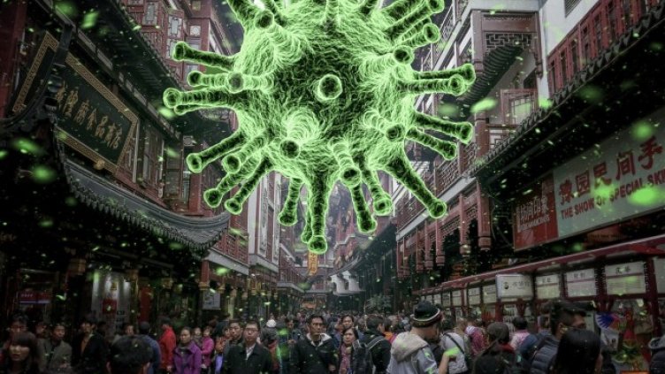 Снимка: 12222786 от Pixabay