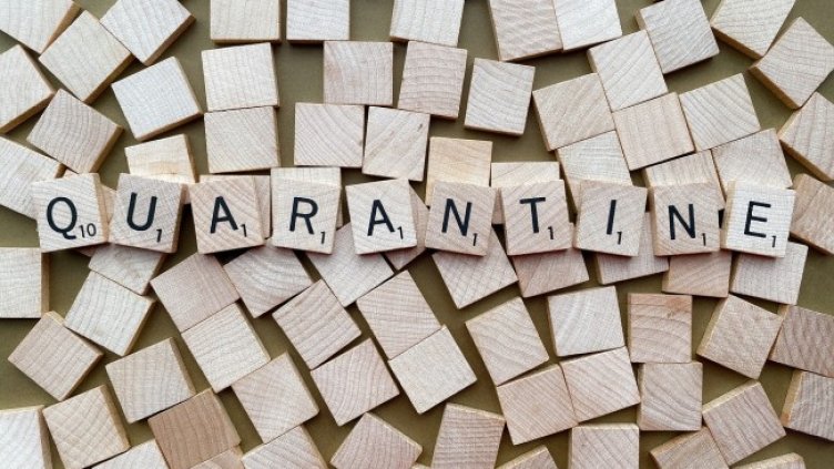 Снимка: WOKANDAPIX от Pixabay