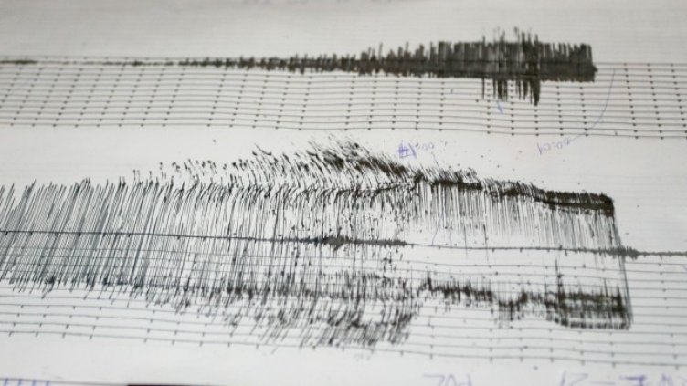 Снимка: архив, БГНЕС