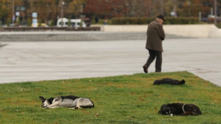 Снимка БГНЕС