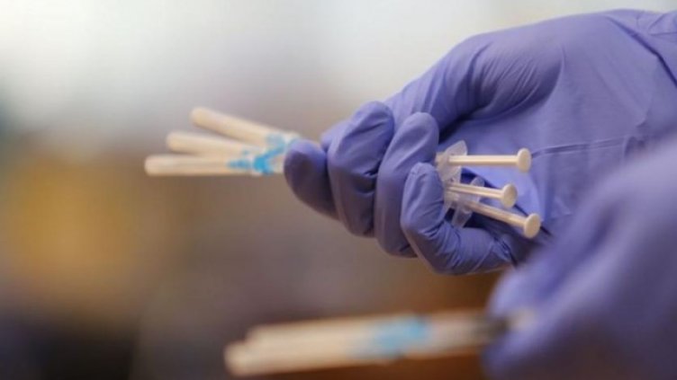 Снимка БГНЕС, архив