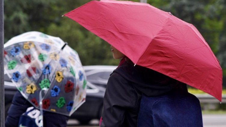 Снимка: архив, БГНЕС