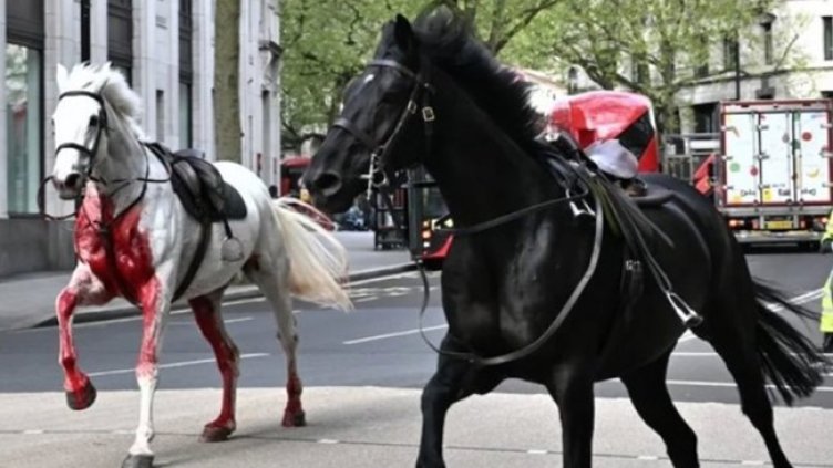 Снимка: Twitter