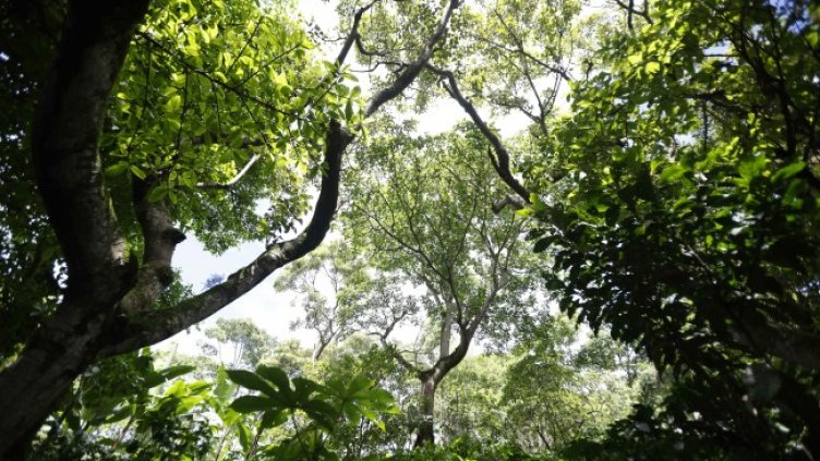 Снимка: БГНЕС/EPA