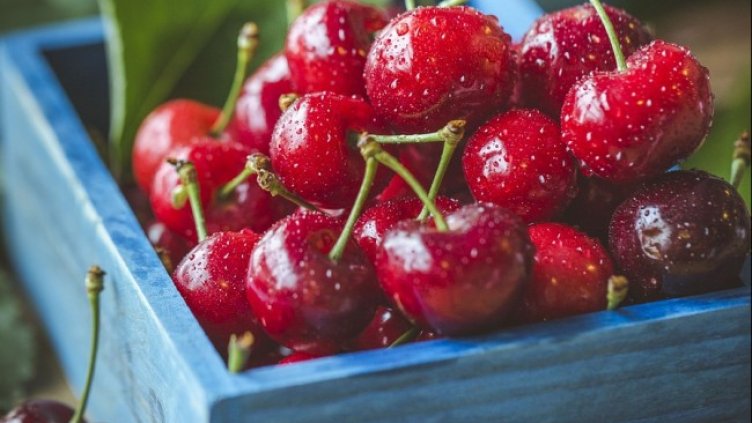 Снимка: Pixabay