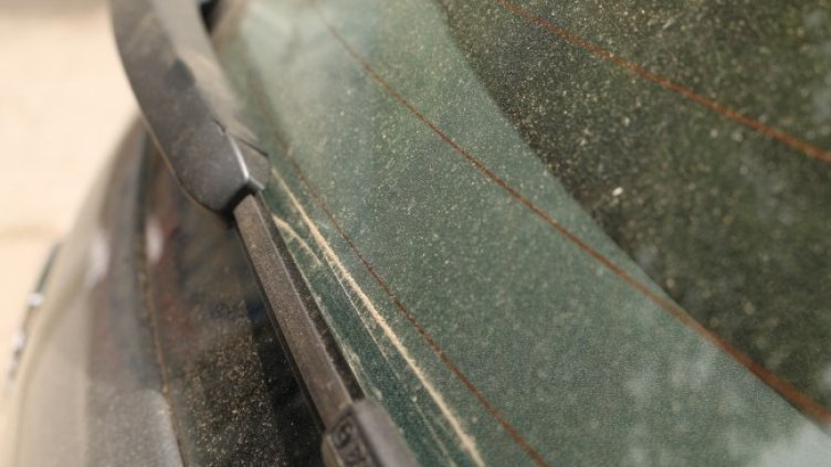 Снимка: архив, БГНЕС